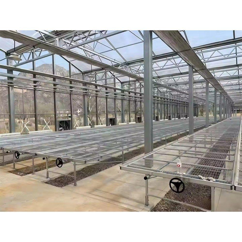 Rows of rolling benches laid out inside a large greenhouse