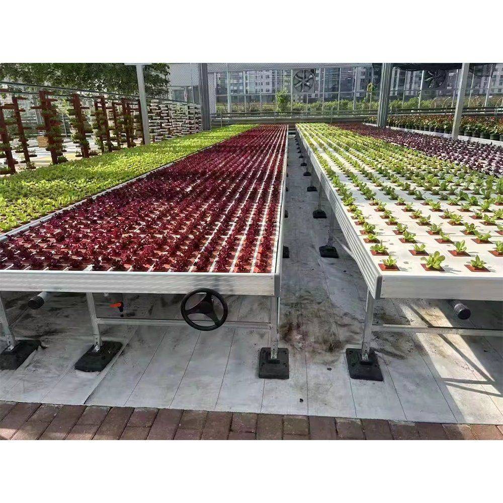 Rolling nursery bench carrying trays of red and green seedlings
