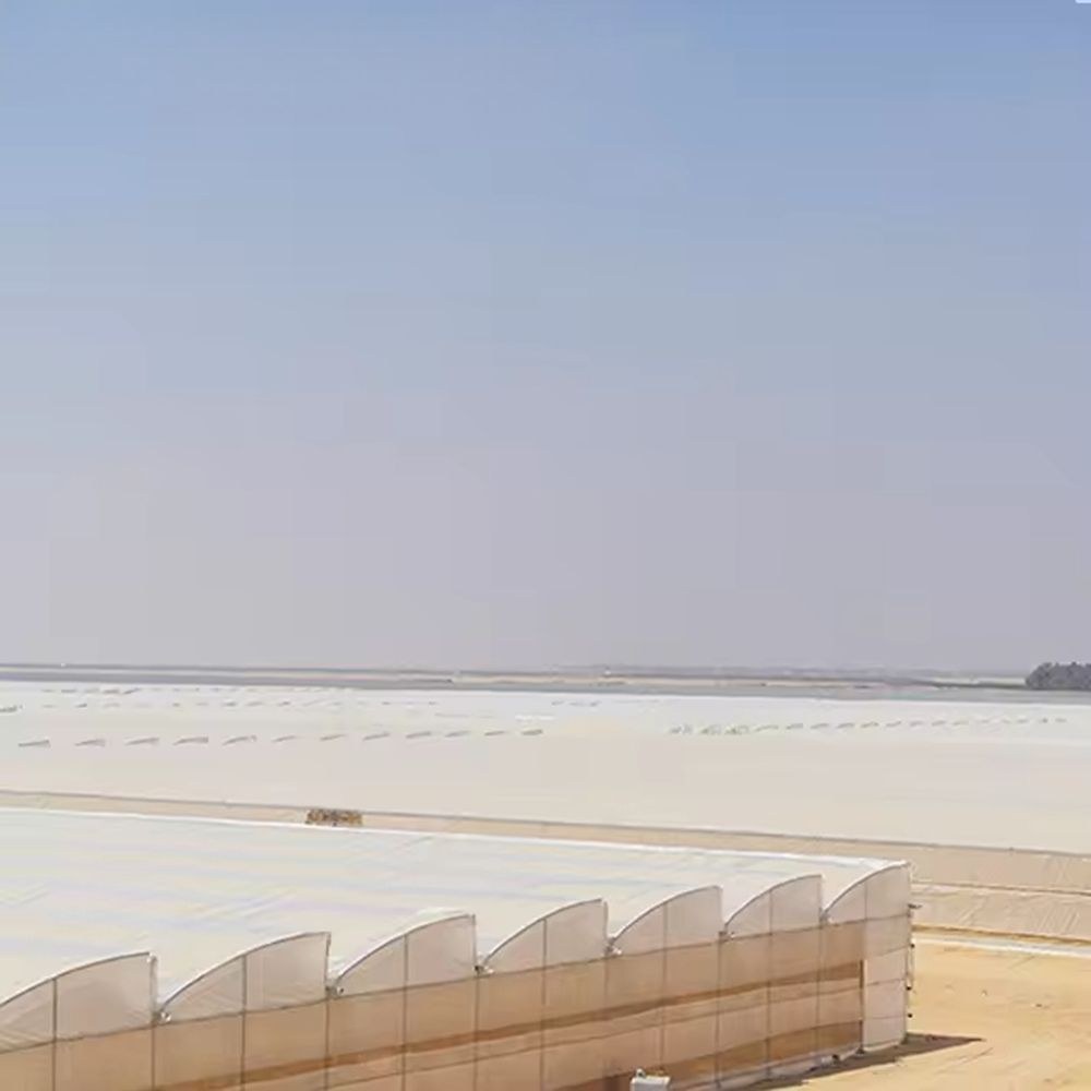 Sawtooth roof greenhouse block seen across flat ground