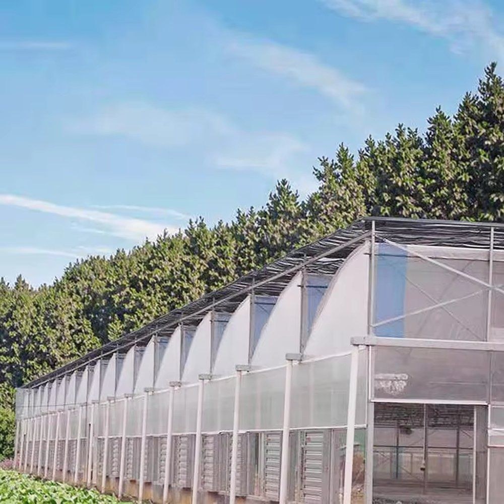 Multi span sawtooth roof greenhouse with vented side walls