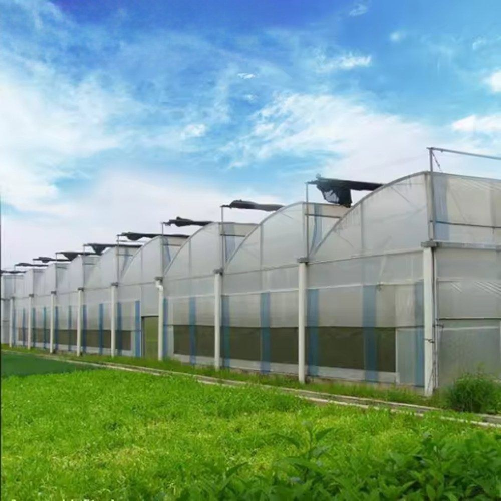 Sawtooth roof greenhouse block standing on a grass site