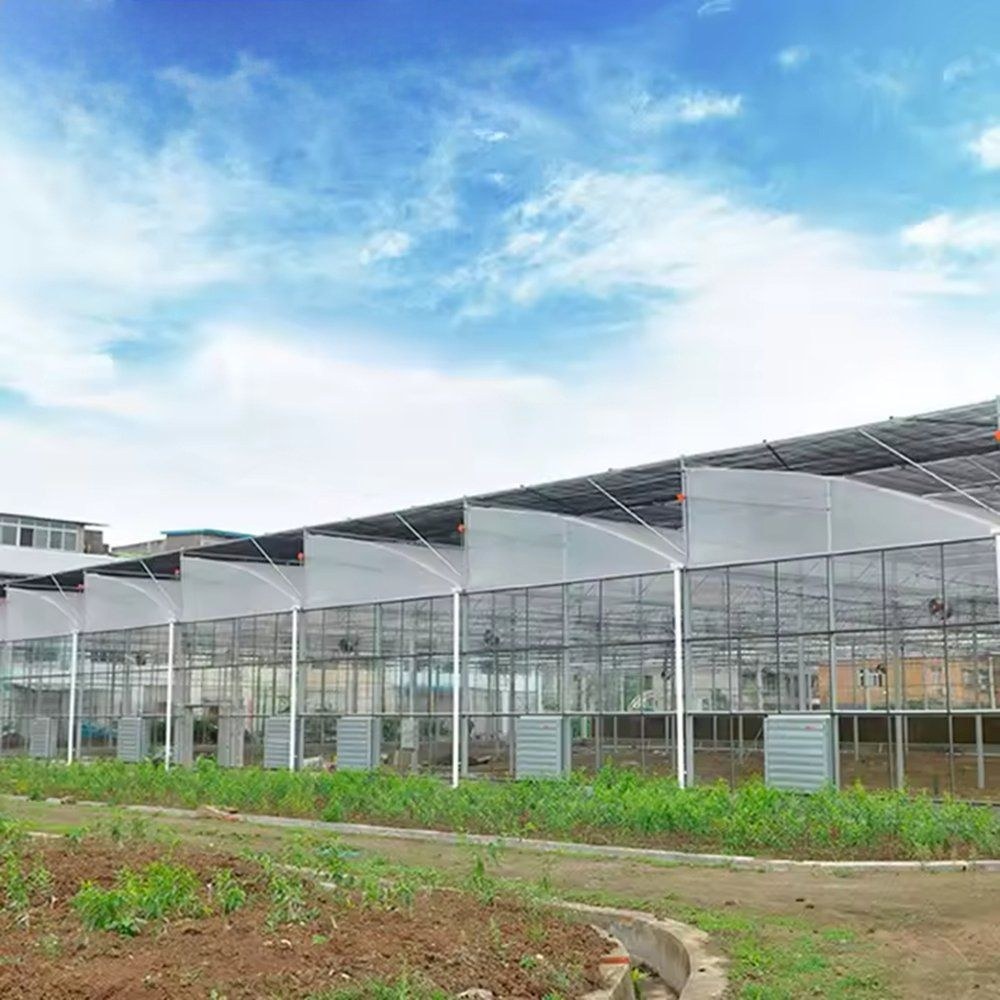 Multi span sawtooth greenhouses on a farm with a wetland behind
