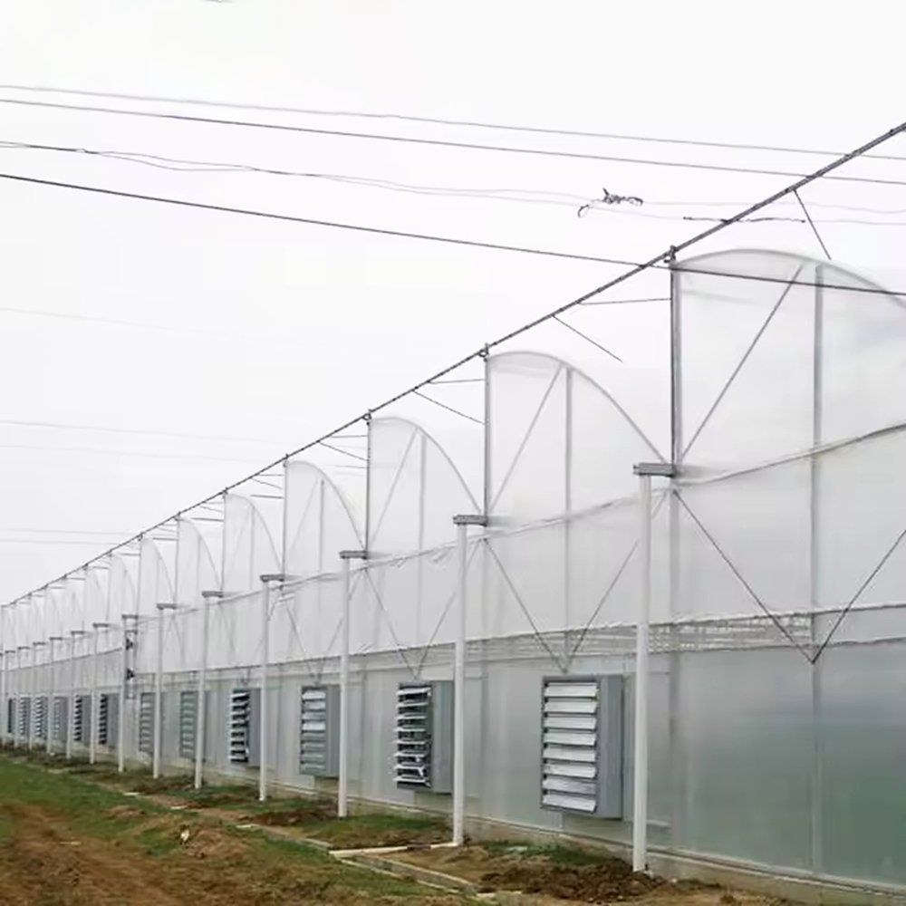 Greenhouse side wall with evaporative cooling pads and vent openings