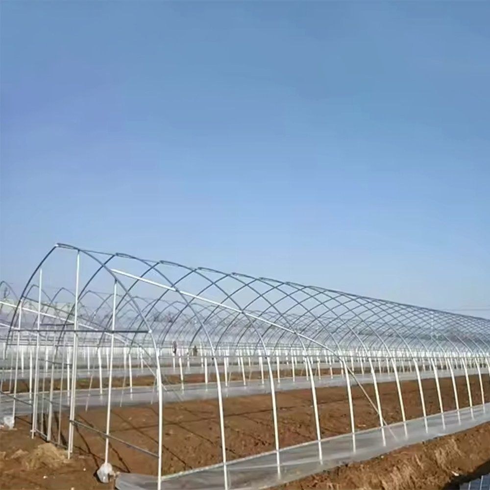 Steel arch frame of a single span gothic greenhouse before the cover is fitted