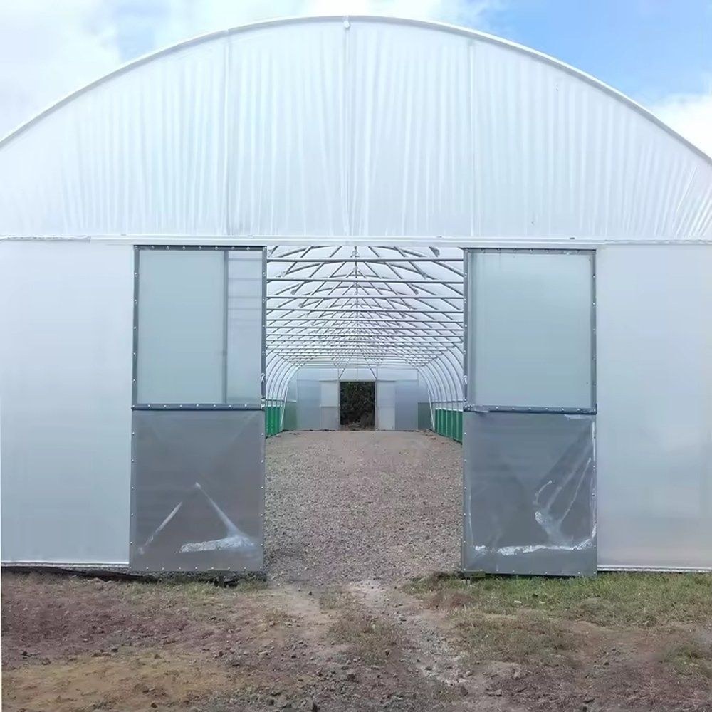 Single span gothic arch greenhouse with a framed door in the end wall