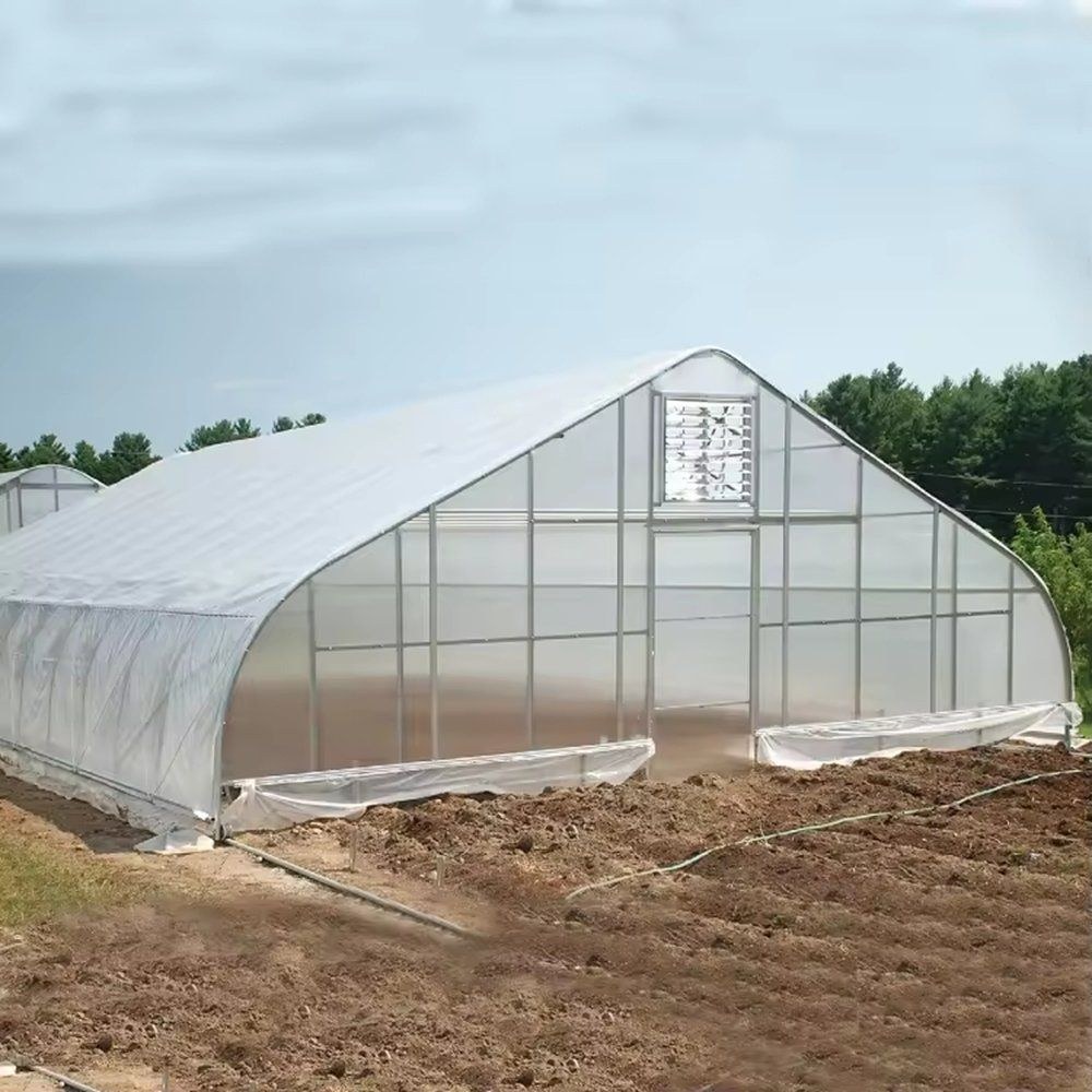 Single Span Gothic Hydroponic Greenhouse for Tomatoes and Lettuce