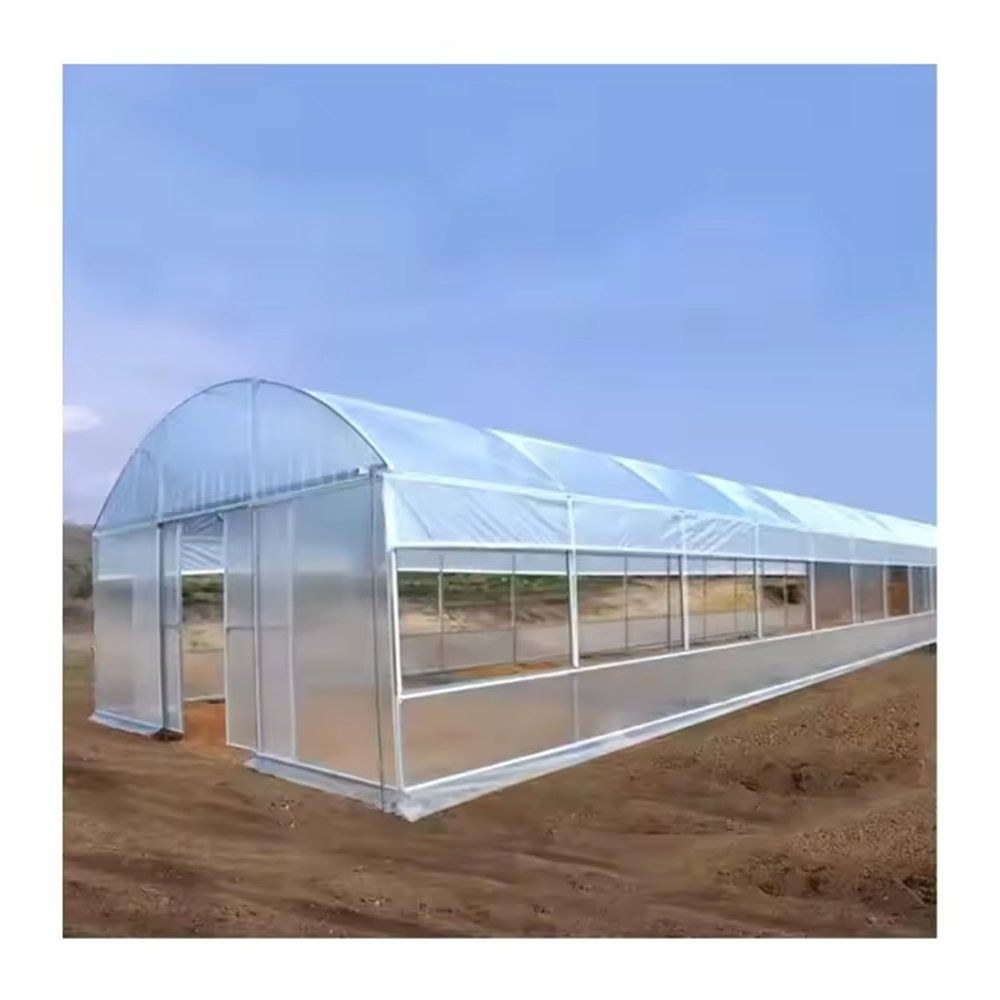 Single span arched greenhouse with a film cover on a farm site