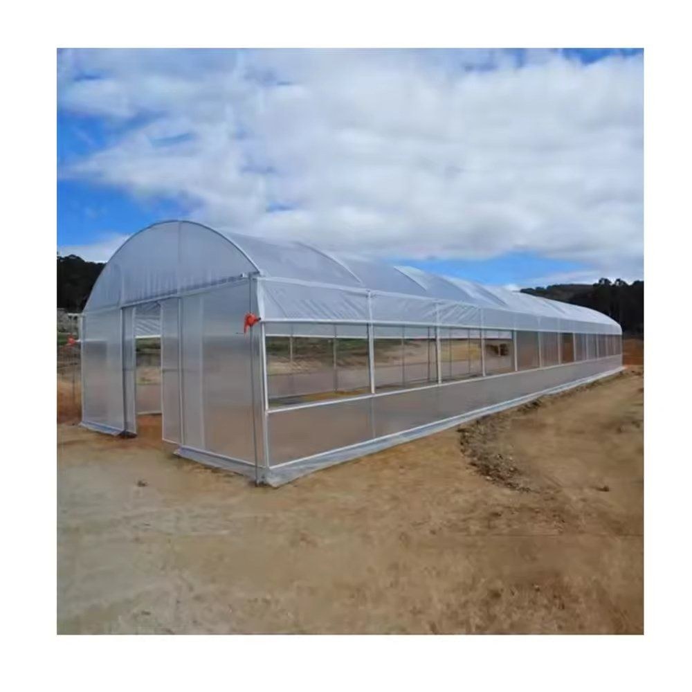 Compact single span film greenhouse standing beside a field