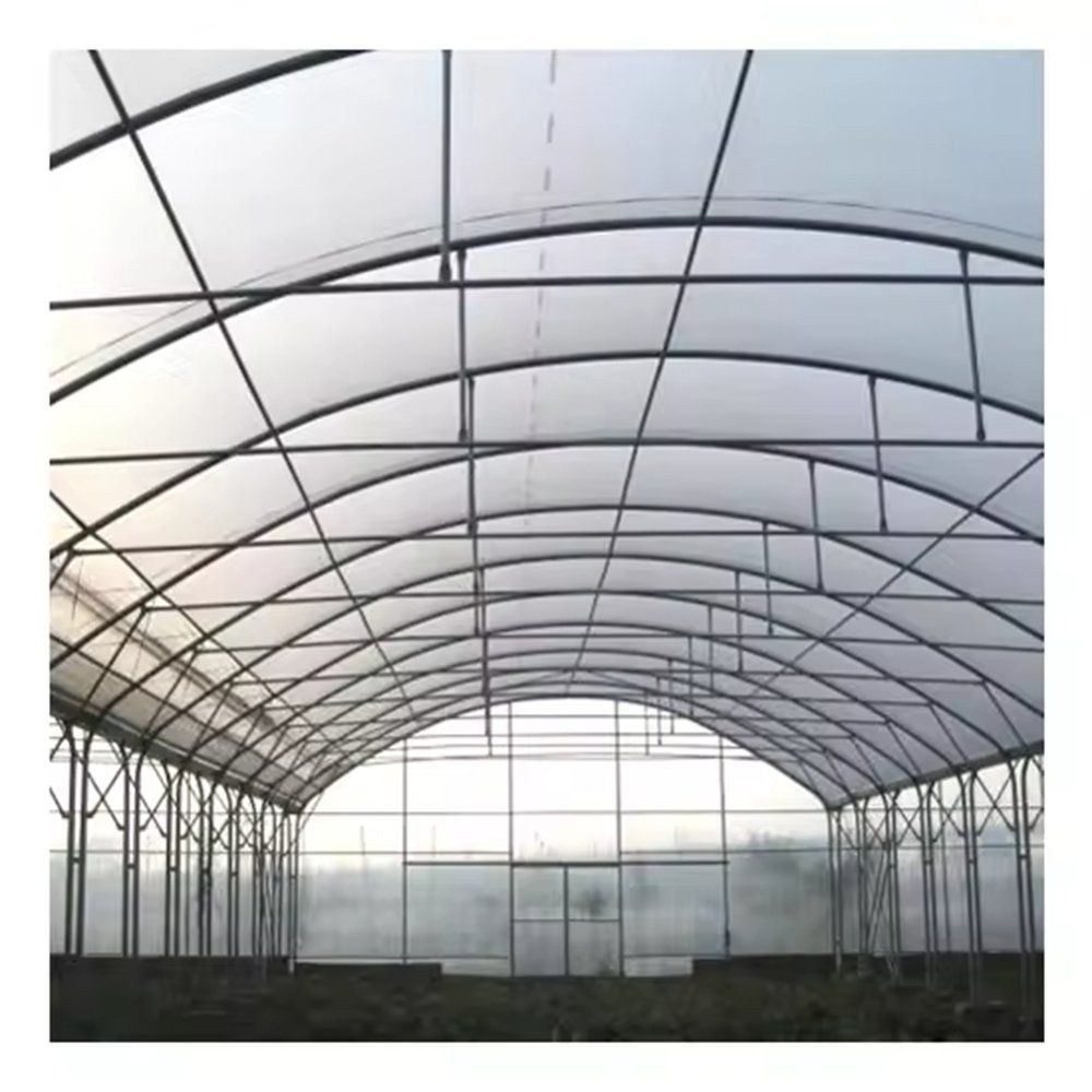Steel frame and crop rows inside a single span film greenhouse
