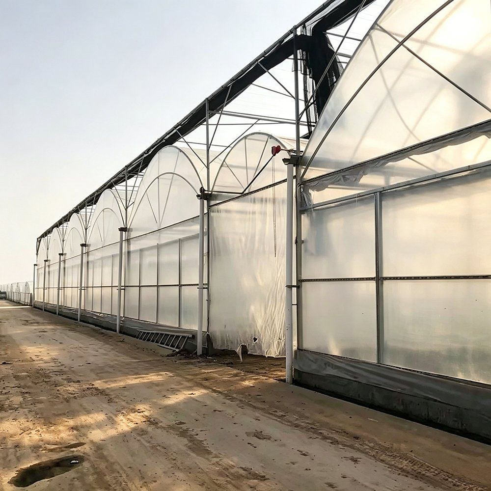 Single span film greenhouse on a site prepared for a growing block
