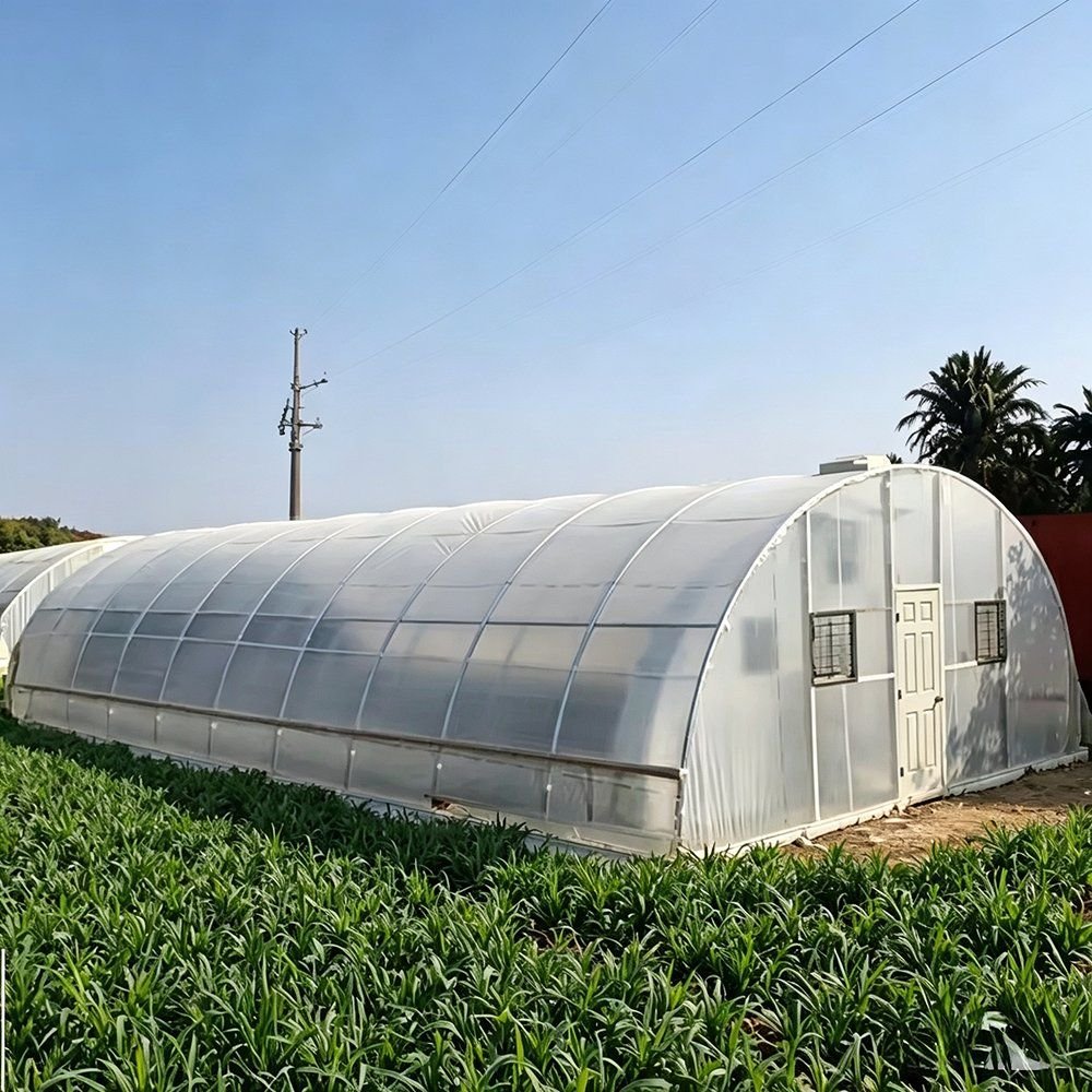 Single span arched greenhouse with a film cover standing in a field