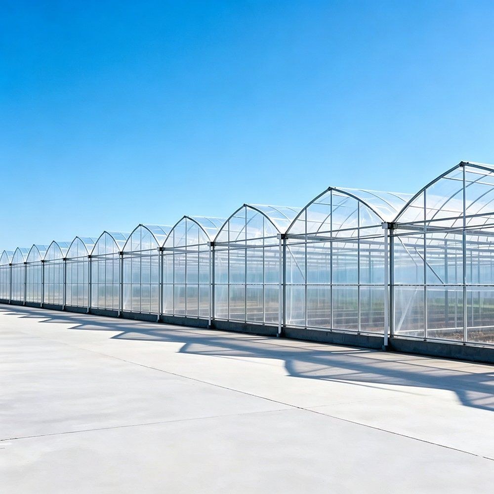 Row of arched film greenhouses standing on a concrete apron