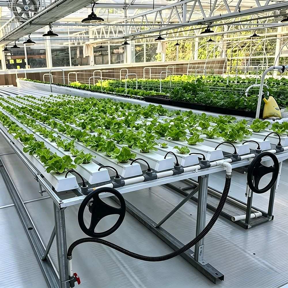 Hydroponic channels with feed pipework and valves in a growing house