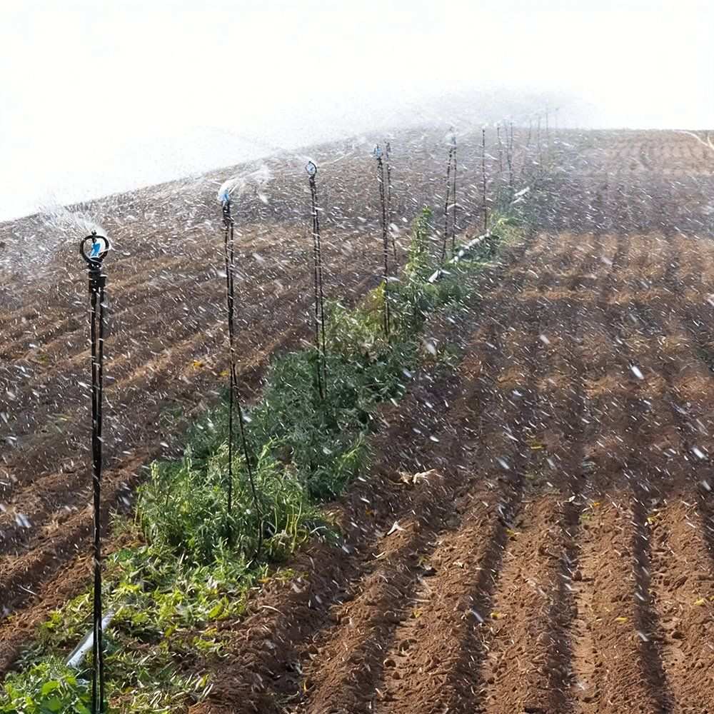 Micro sprinkler line running along a crop row in an open field