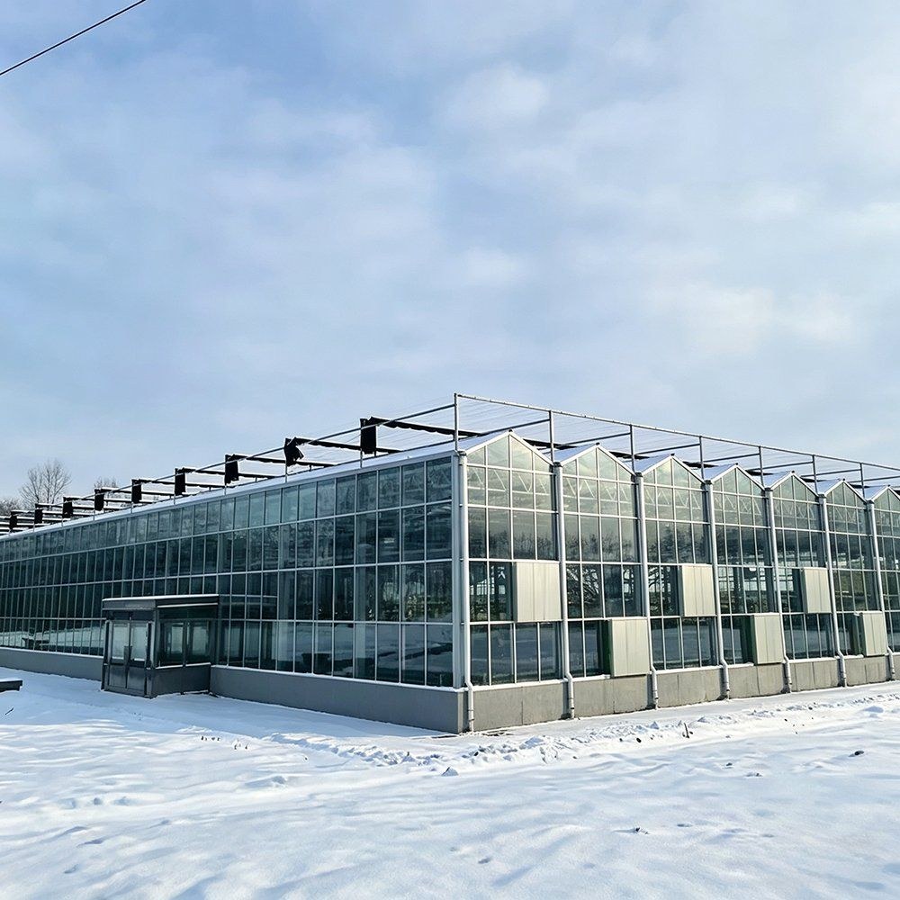Glazed greenhouse structure standing on snow covered ground