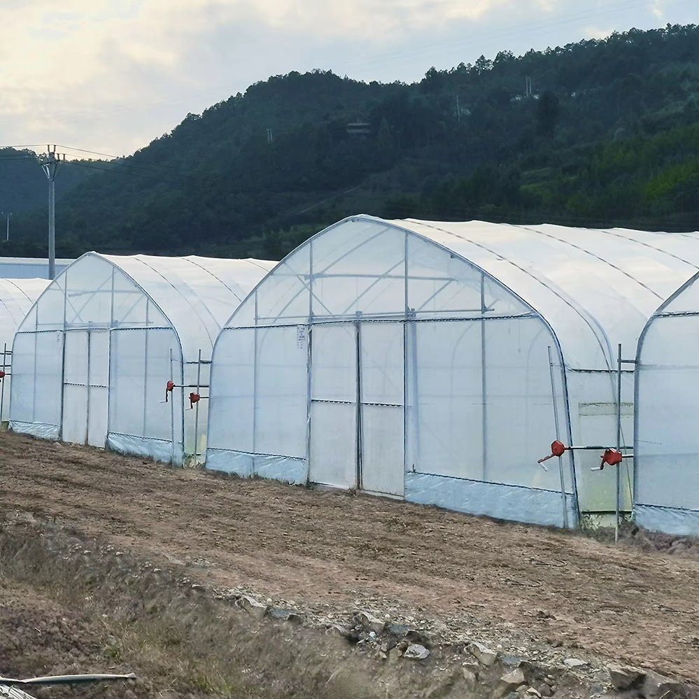 Row of arched steel greenhouse structures on a farm site
