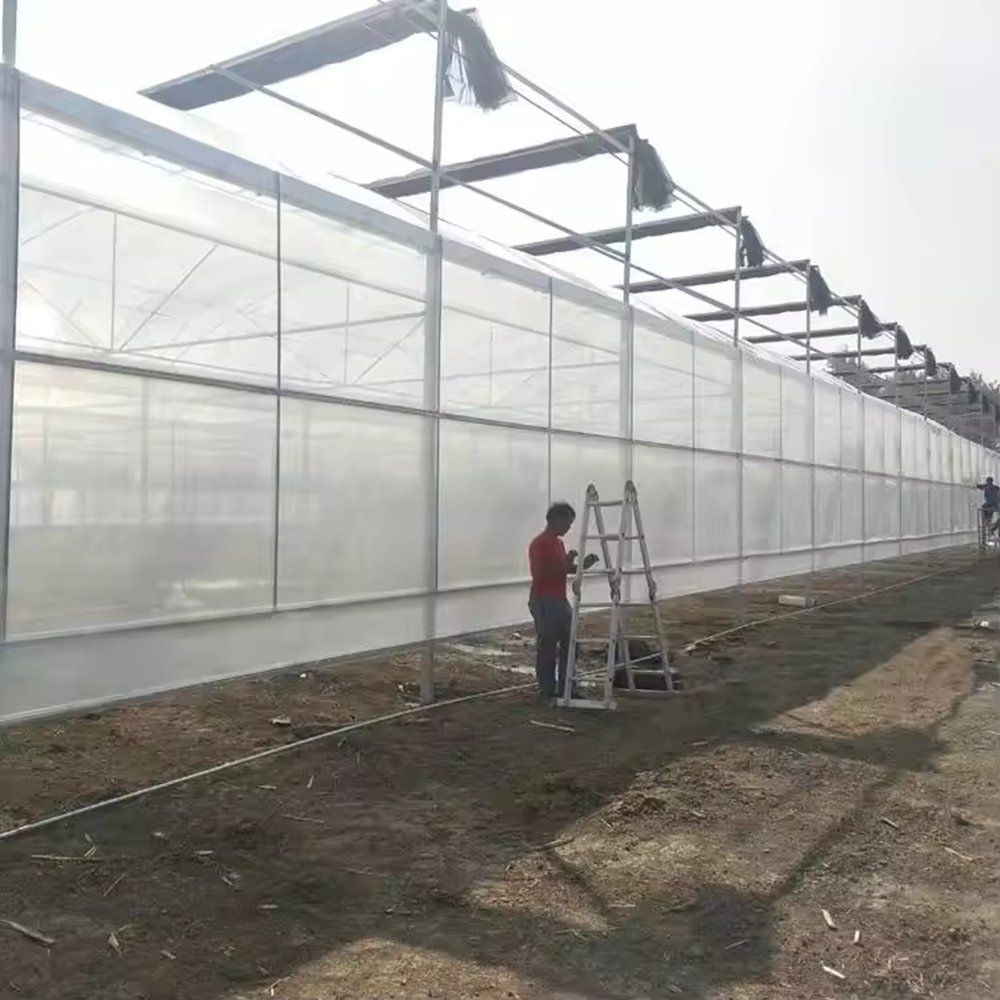 Film greenhouse with a worker on a ladder beside the frame