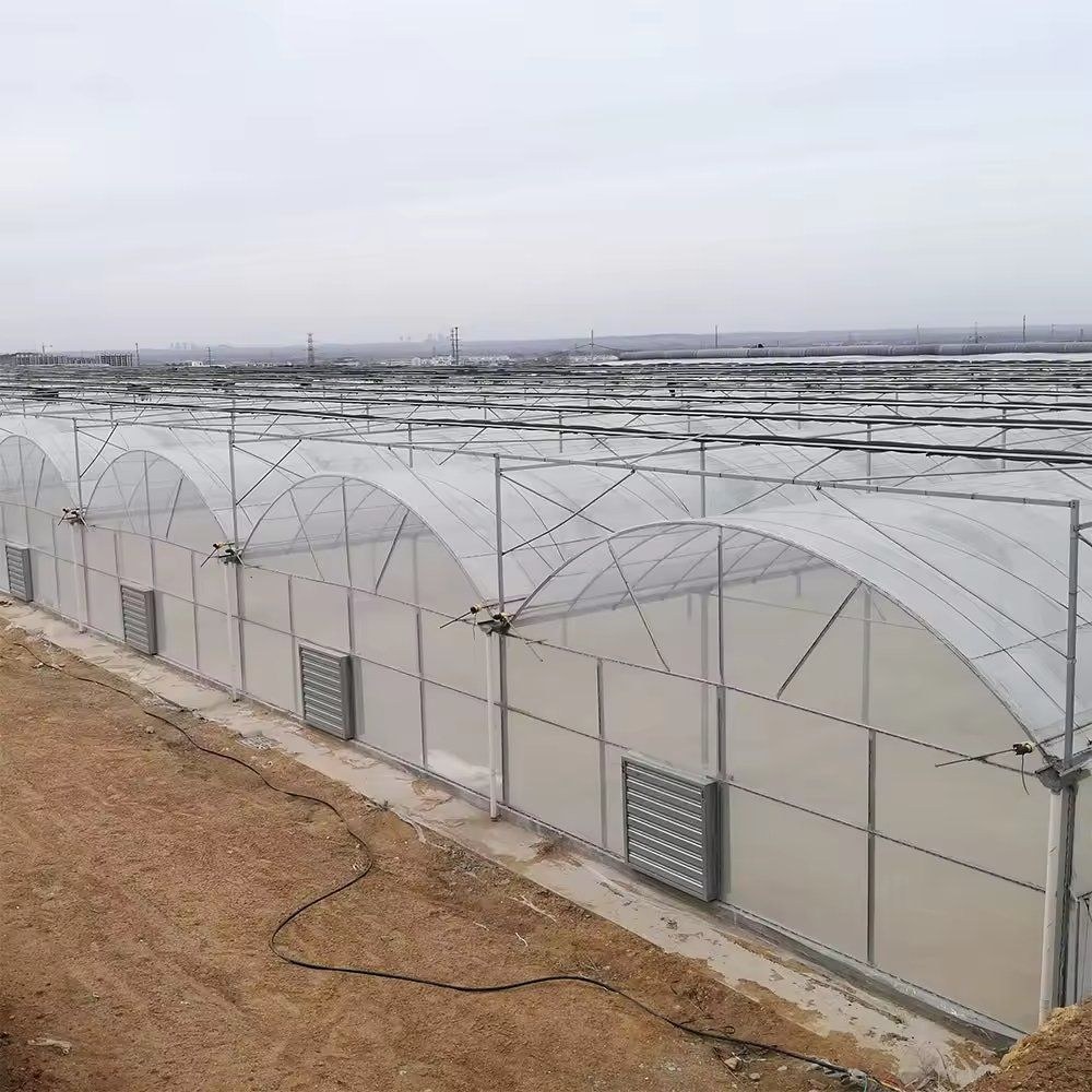 A row of film greenhouses across a site
