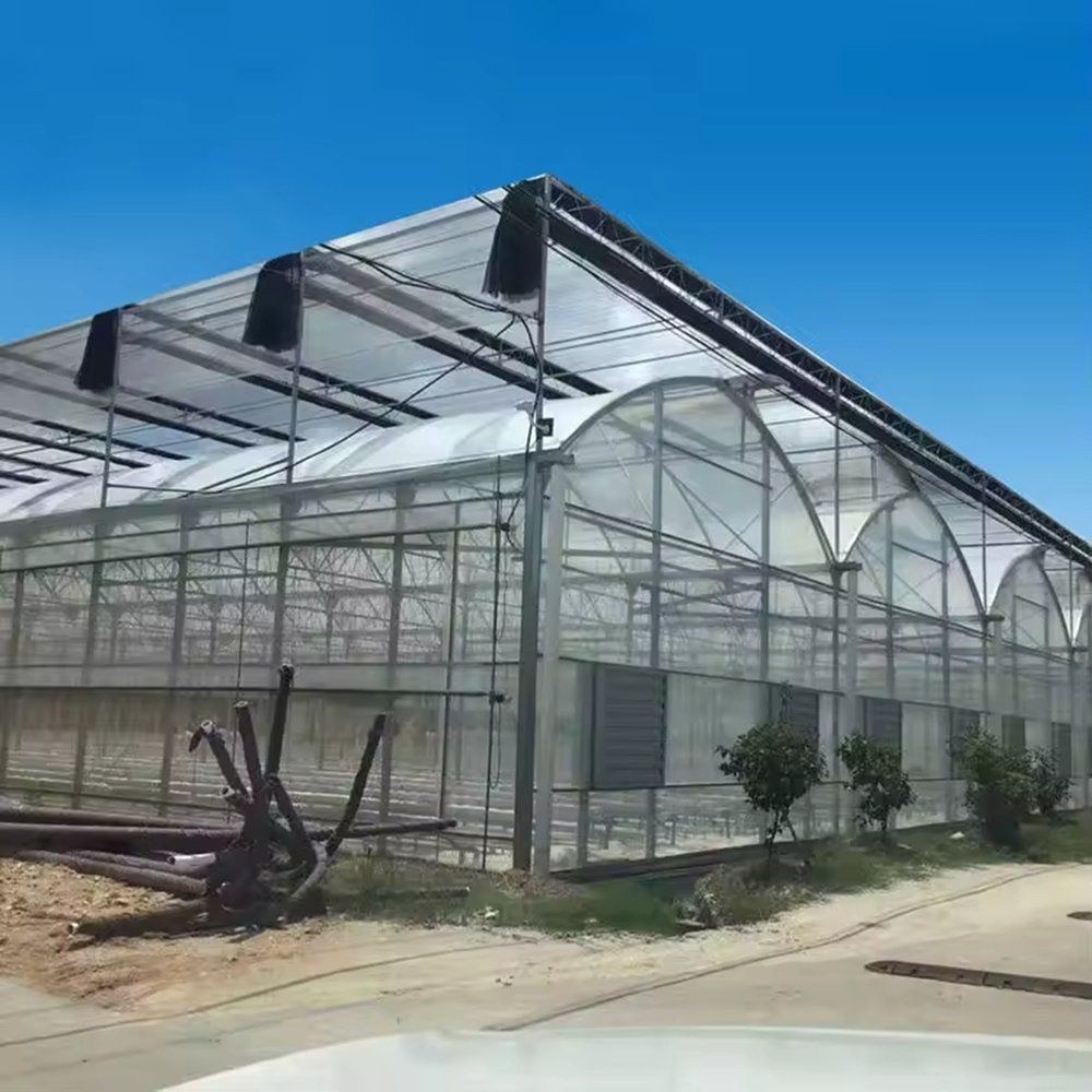 Multi Span Film Greenhouse with Thermal Curtain for Tomato Growers