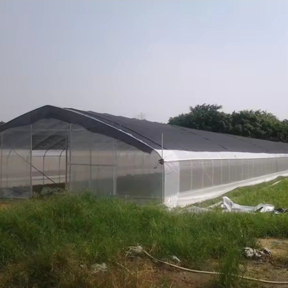Block of arched film greenhouses on a commercial growing site