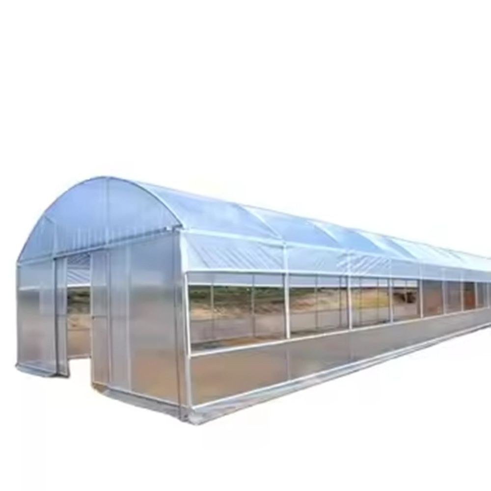 Heavy Duty Galvanized Steel Tomato Greenhouse for Commercial Production