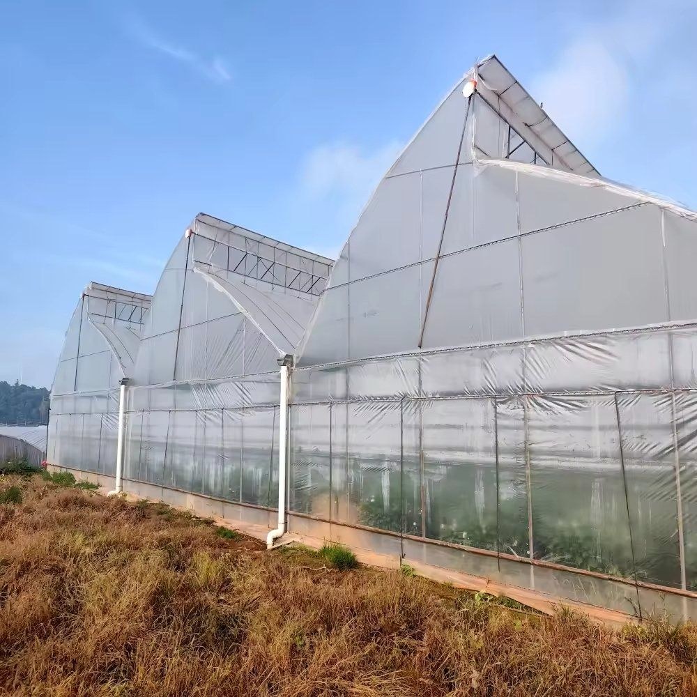 Tropical Horticulture Greenhouse with 50% Shade Net for Flower Exporters