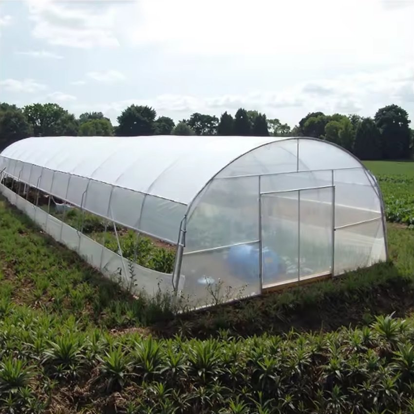Single span film covered greenhouse standing beside a cropped field