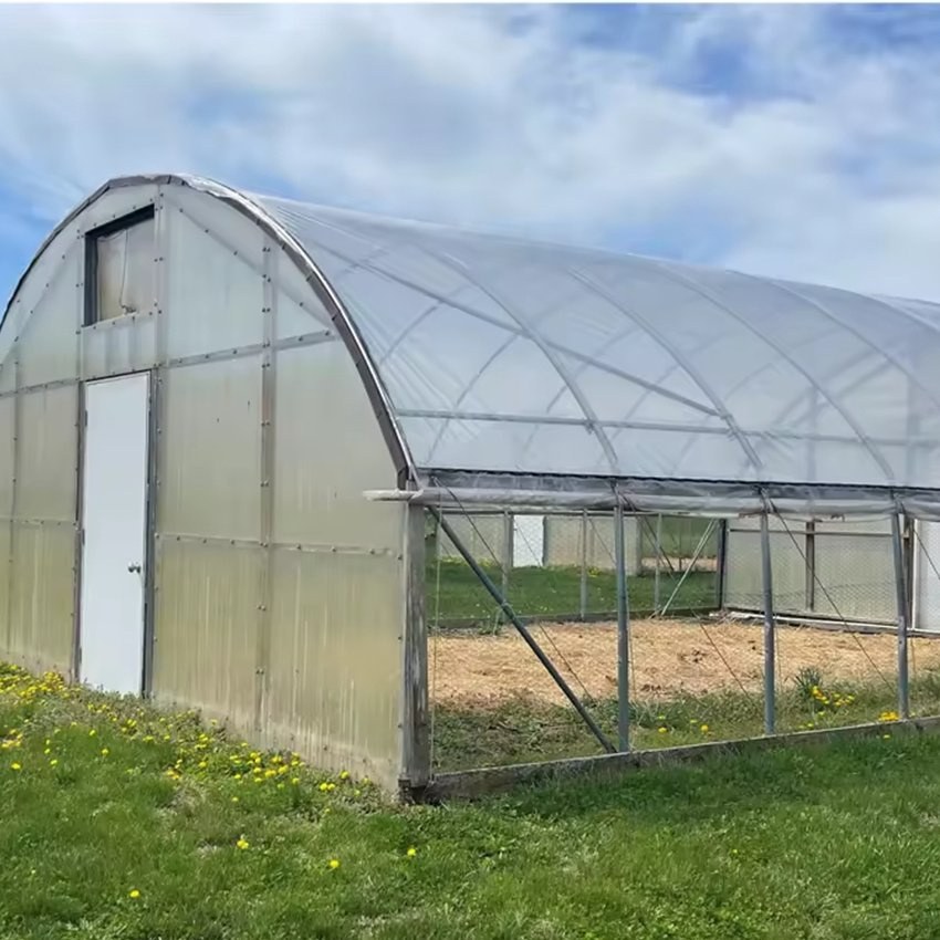 Tropical Climate Single Span Greenhouse Complete Kit 30X100 Plastic PE