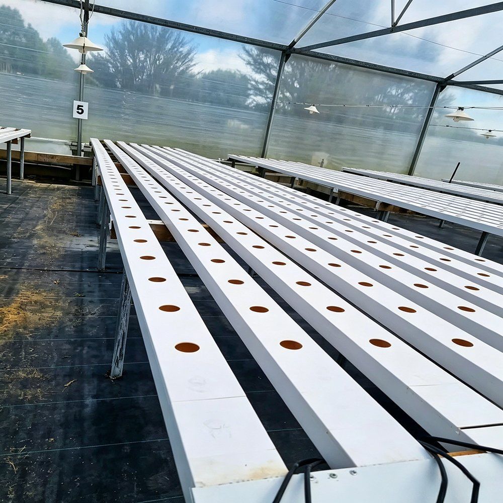 Tunnel greenhouse interior with NFT gutters and a circulation fan