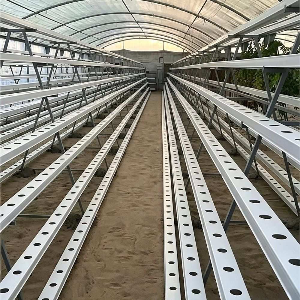 Empty NFT gutters laid in rows inside a tunnel greenhouse