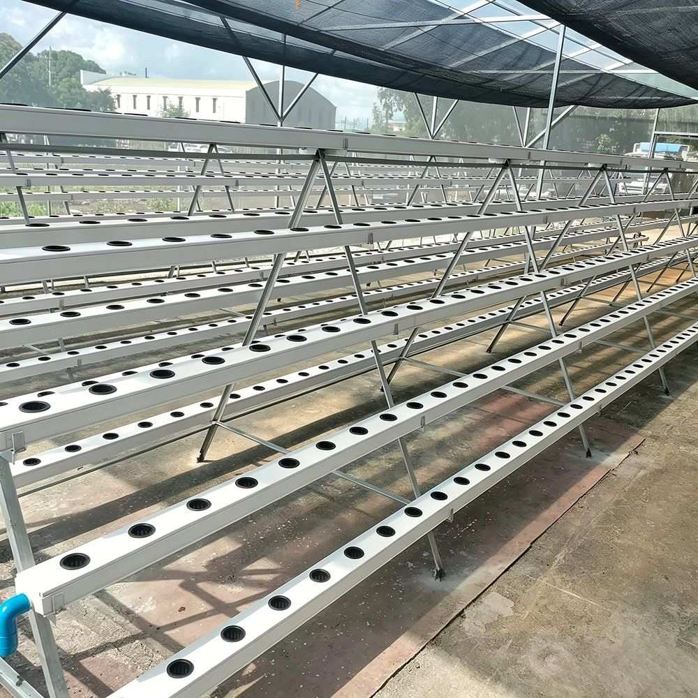 Commercial Tunnel Greenhouse Hydroponic System for Leafy Vegetables