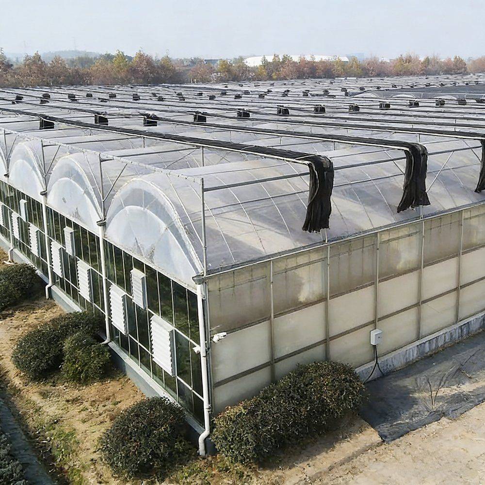 Rows of multi span film greenhouses on a commercial nursery site