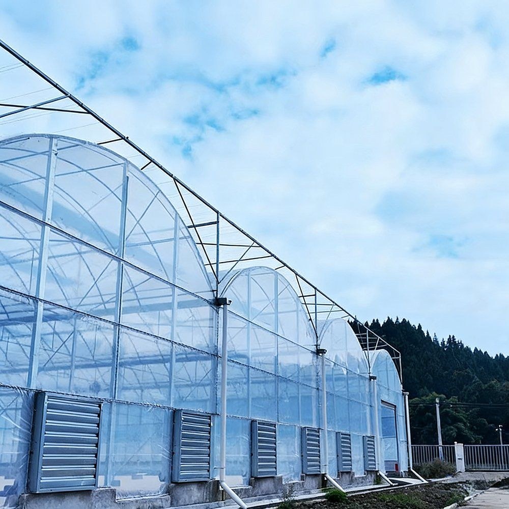 Multi span film greenhouse with ventilated side walls seen from outside