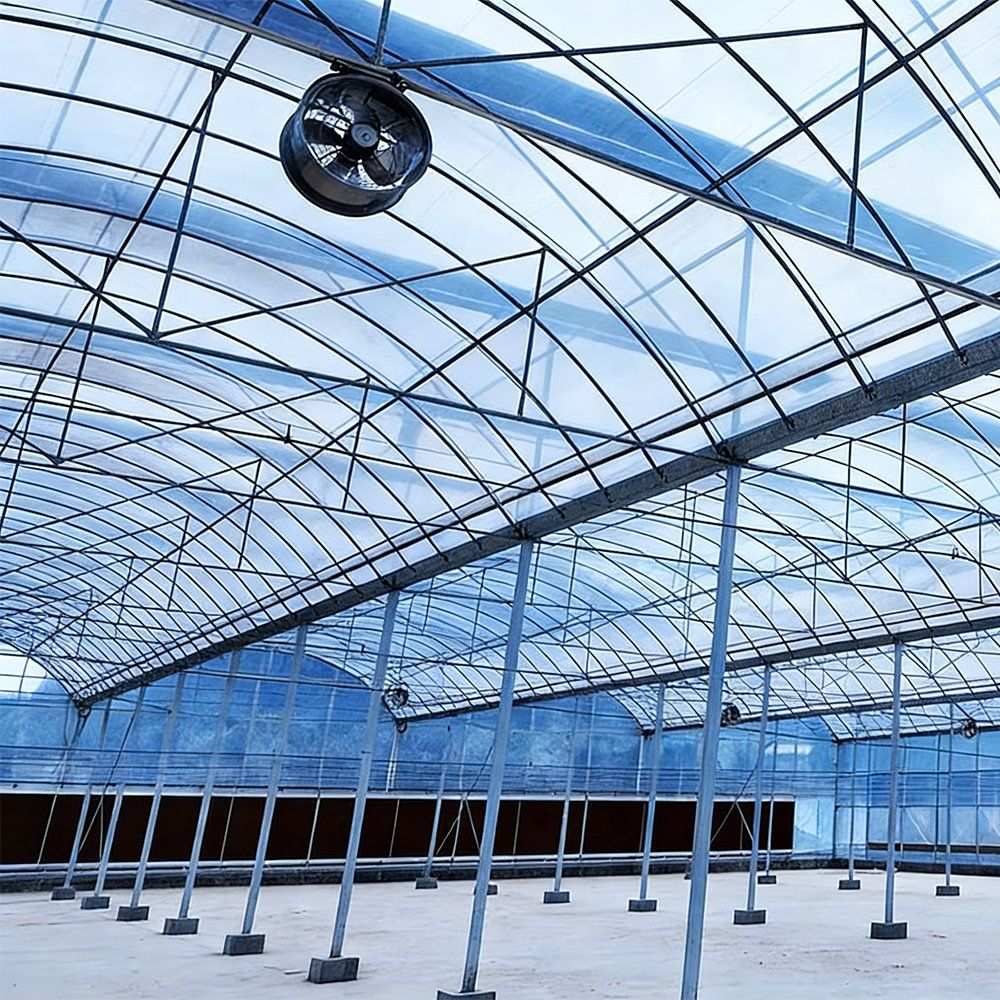 Interior of a multi span greenhouse showing arches and a circulation fan