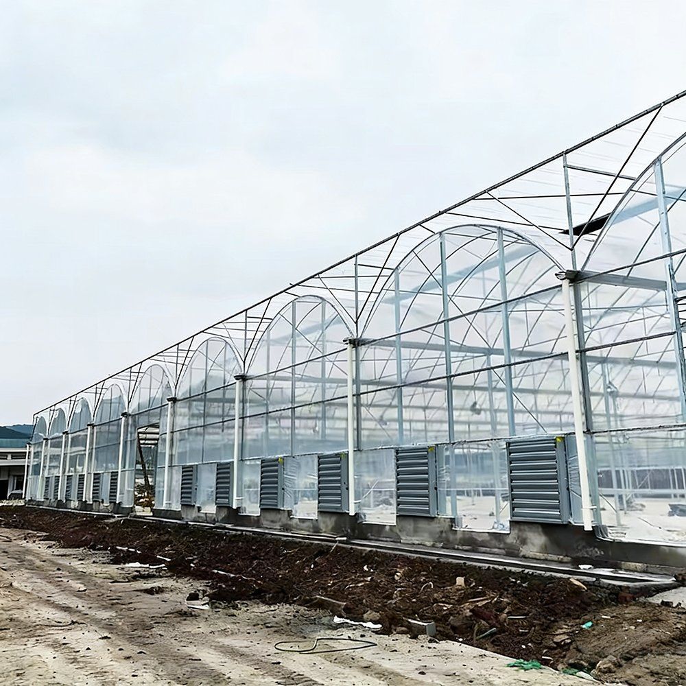 Long multi span greenhouse block running across an open field
