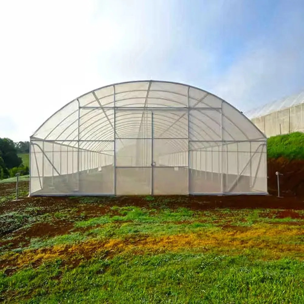 Double film tunnel greenhouse with a bright outer cover standing in a meadow