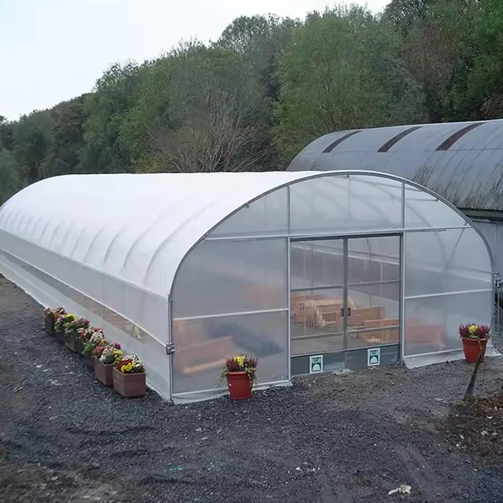 Tunnel greenhouse with double film cover and potted plants standing outside