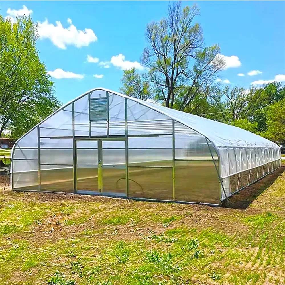 Double Film Frost Protection Tunnel Greenhouse for Market Gardens