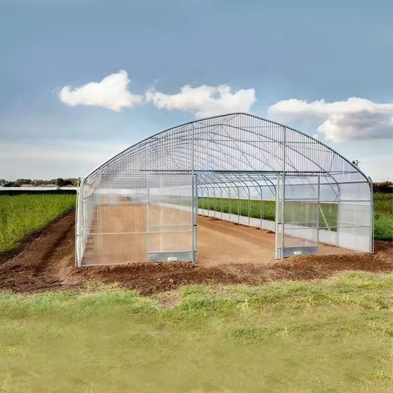 Single span film tunnel greenhouse standing in an open field with a clear arch