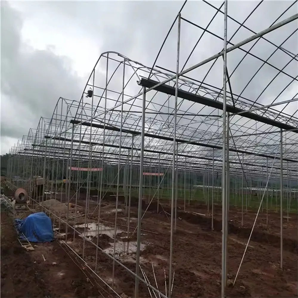 Steel arches and purlins being erected on a greenhouse site