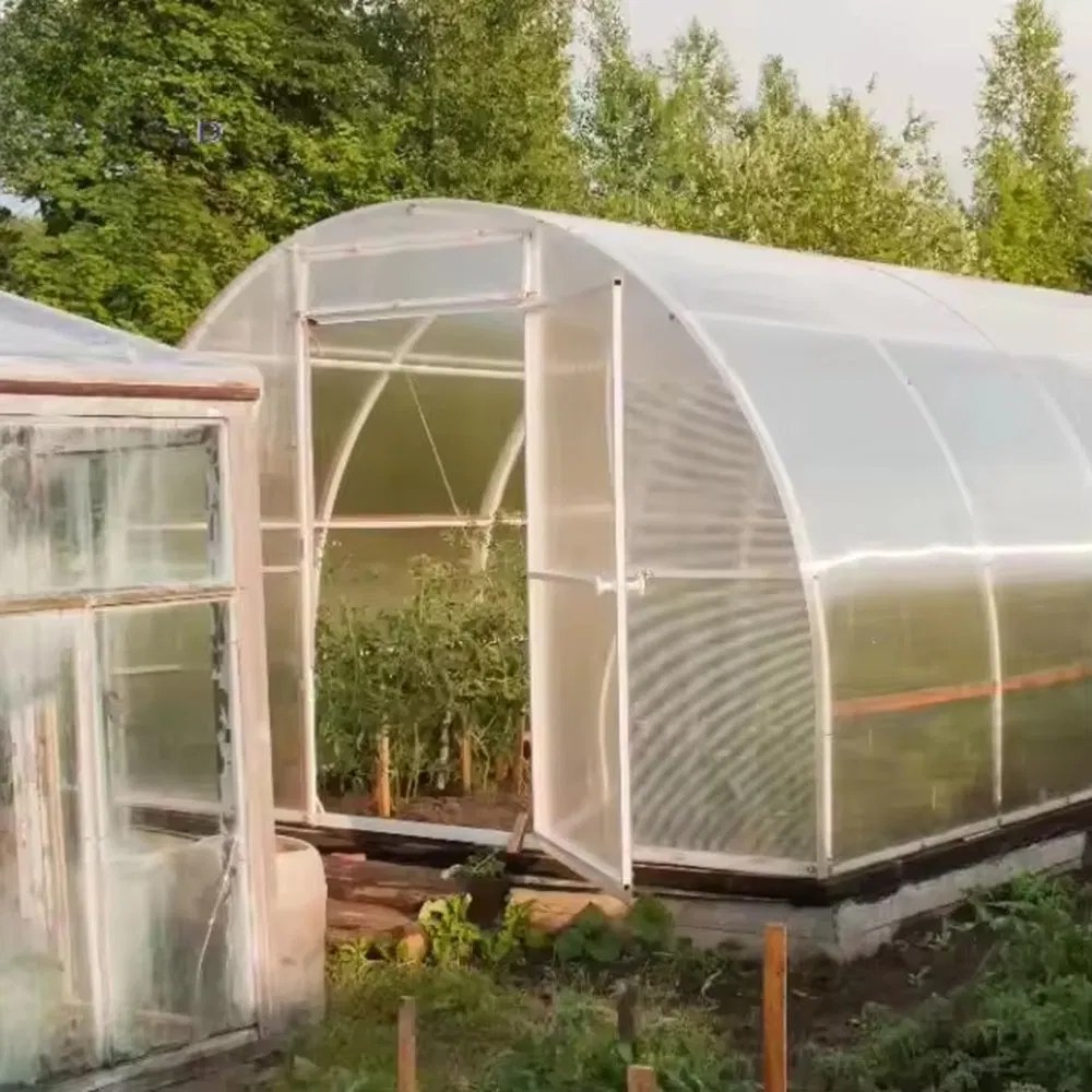 Small film covered tunnel greenhouse with the door open onto a garden plot