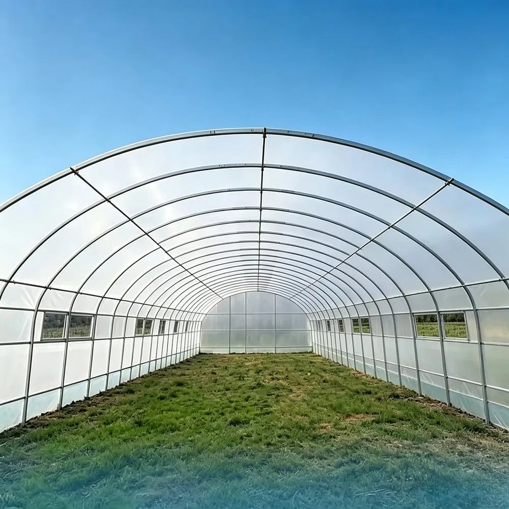 Entrance of a tunnel greenhouse looking down the length of the house