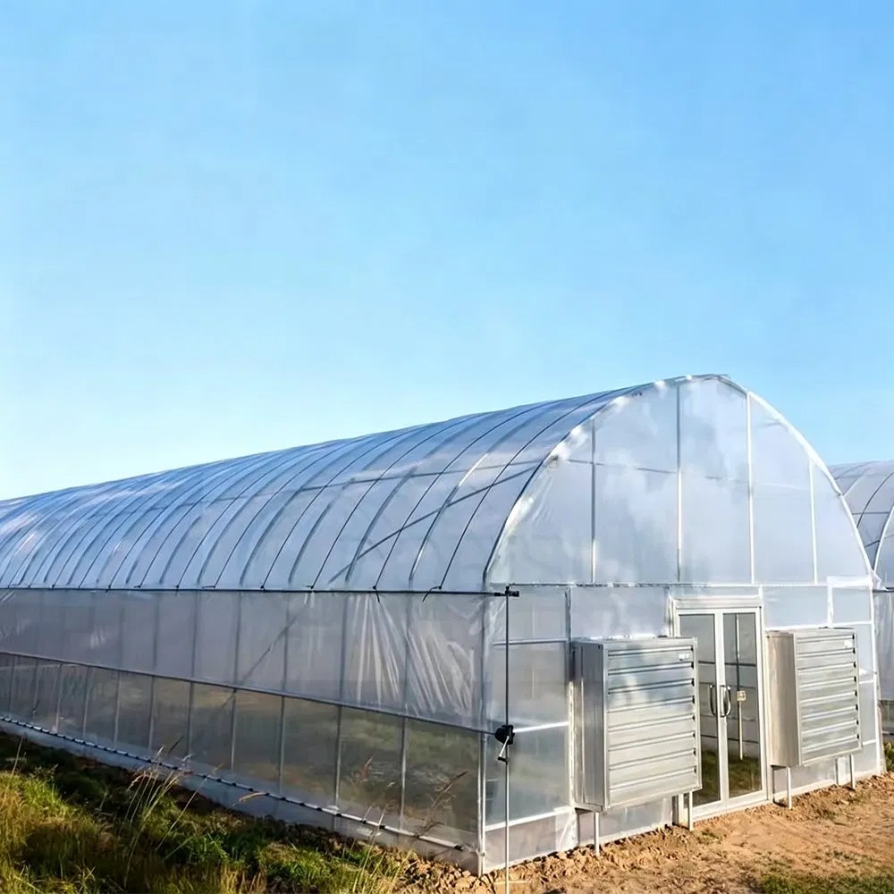 Exterior of a nine metre span tunnel greenhouse with sliding doors at the gable end