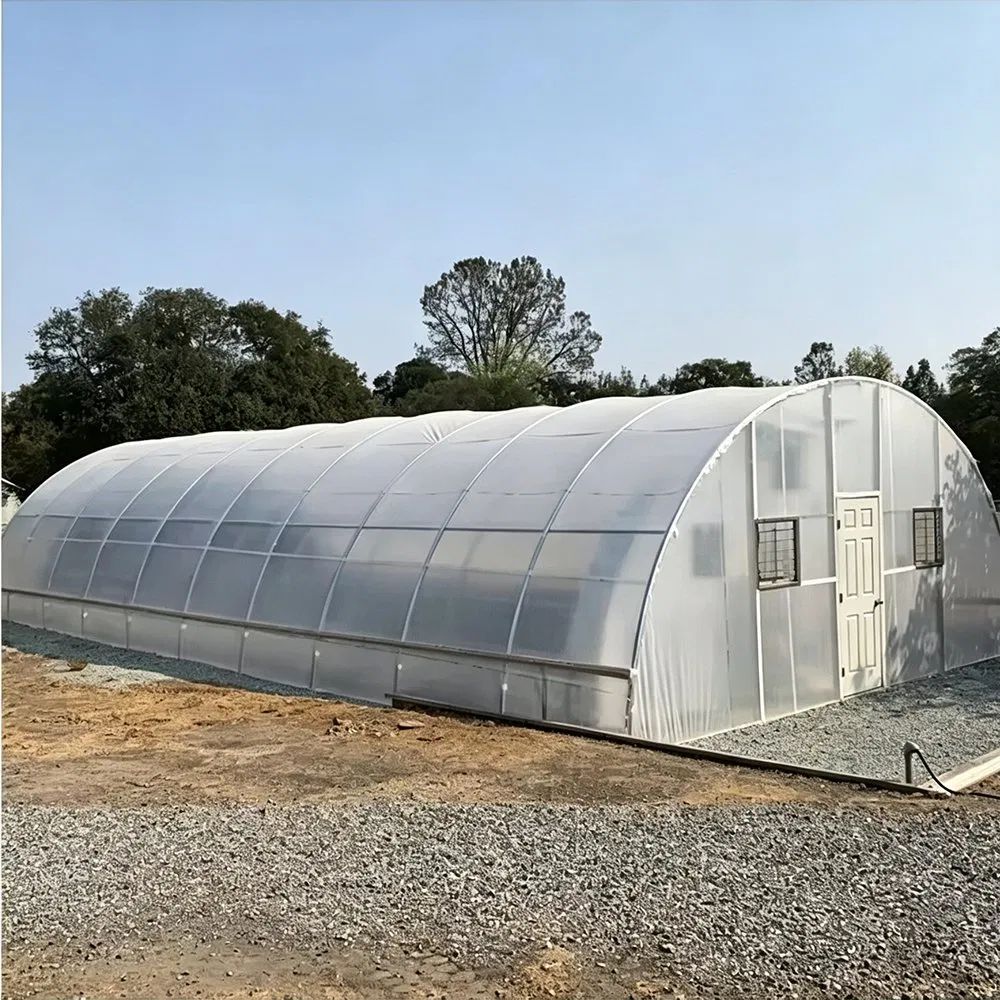 Nine metre span tunnel greenhouse standing on a gravel yard beside trees