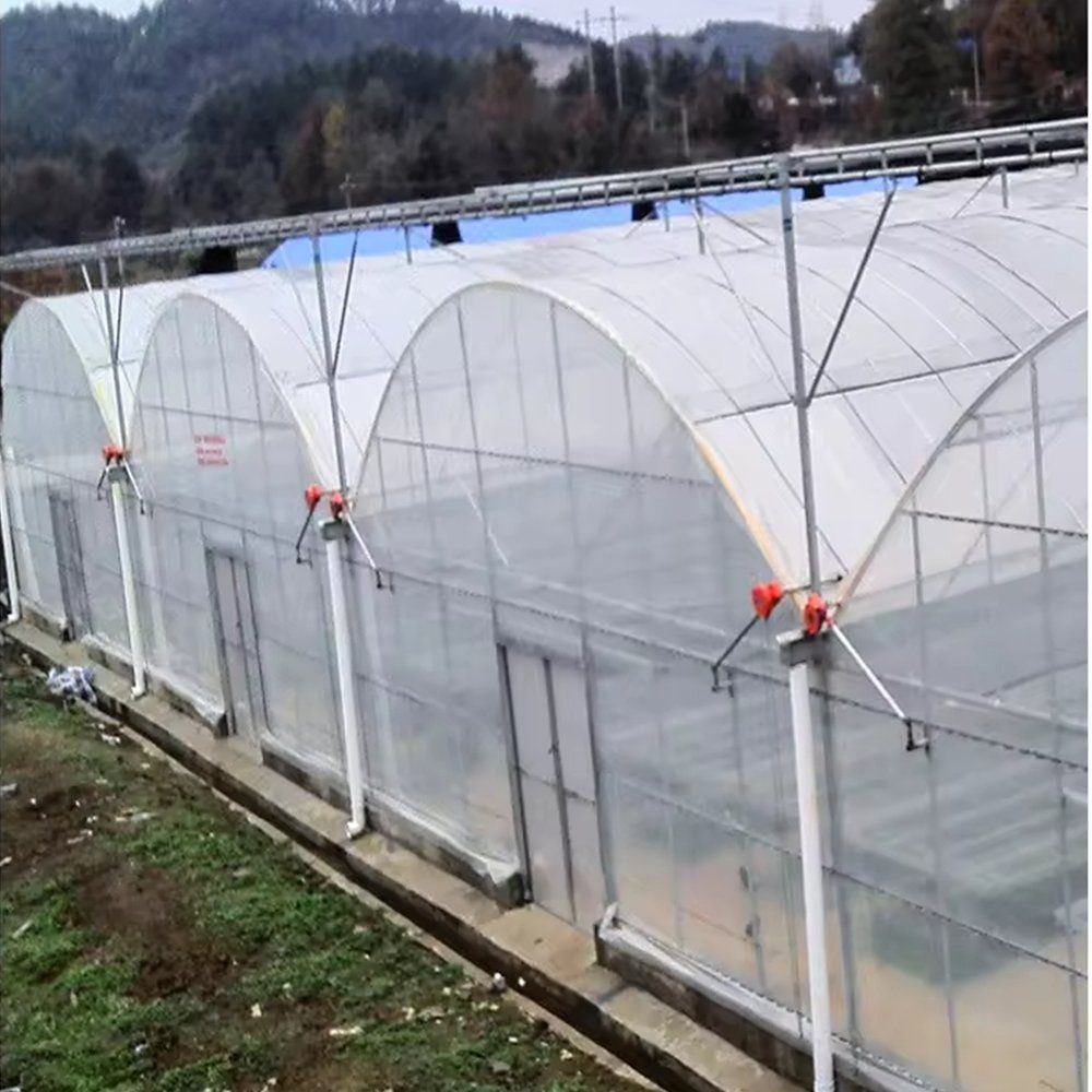 Multi span film greenhouse with exhaust fans along the side wall
