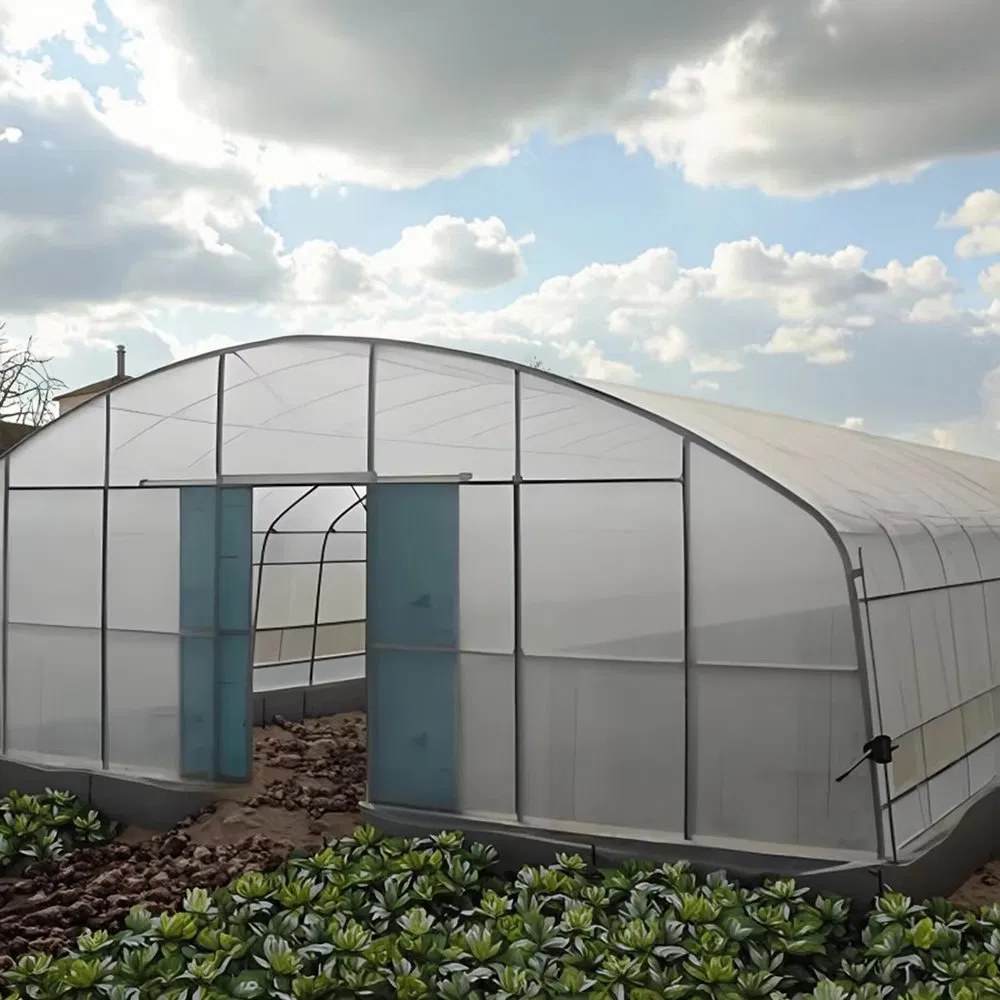 Film greenhouse with double end doors standing in a field