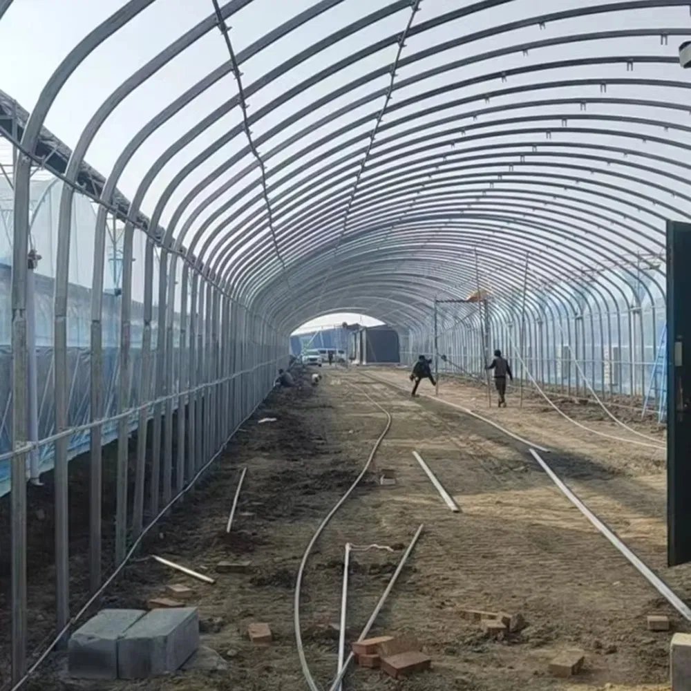 Workers assembling a greenhouse frame inside the structure