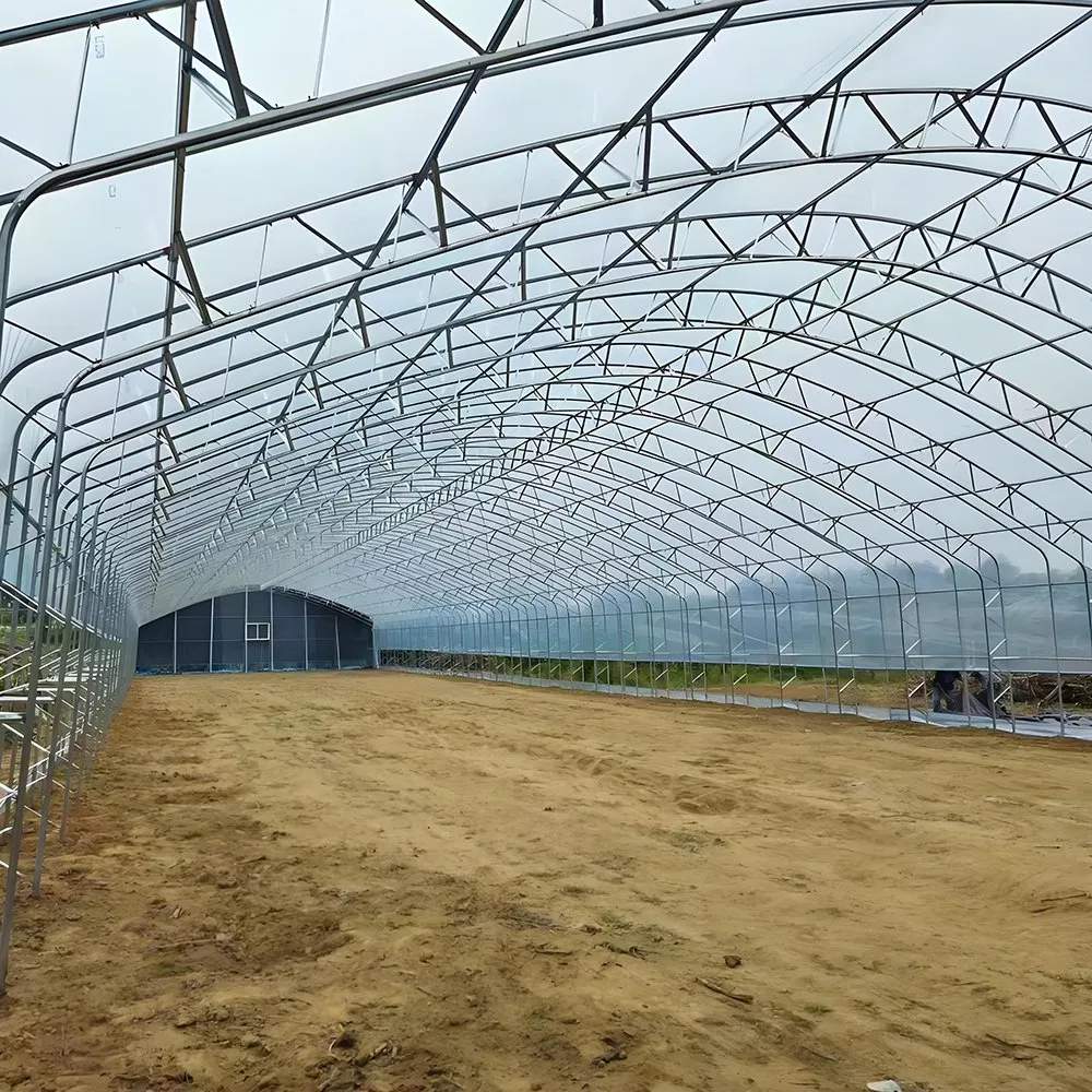 Interior view of a greenhouse frame with arches and purlins