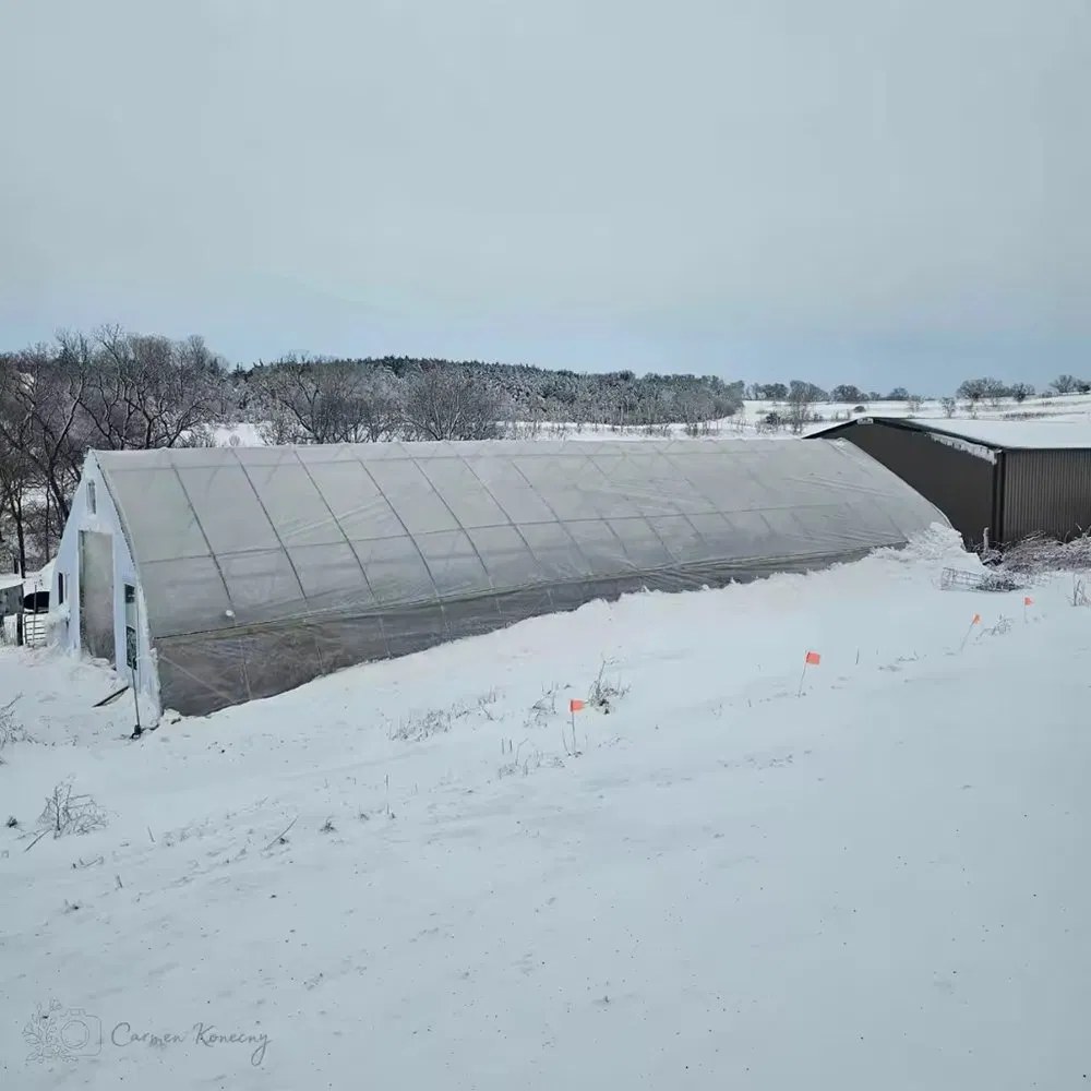 Film tunnel greenhouse standing under snow in winter