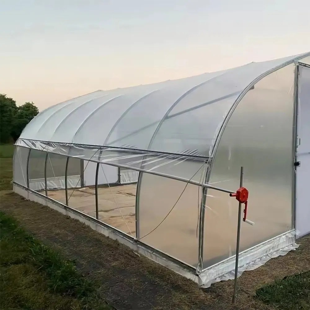 Plastic Film Tunnel Greenhouse for Vegetable and Flower Crops